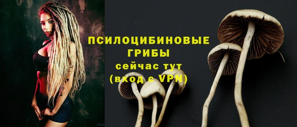 ешки Алексеевка