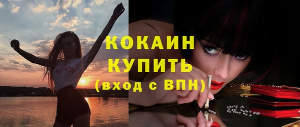 дживик Алексин
