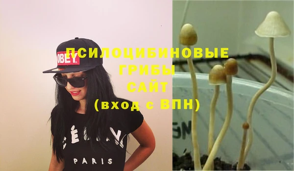 шишки Алзамай
